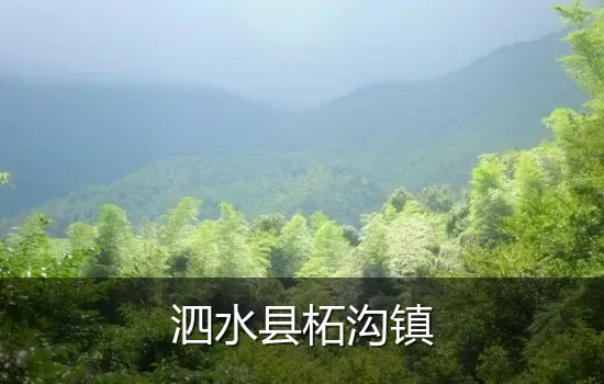 泗水县柘沟镇