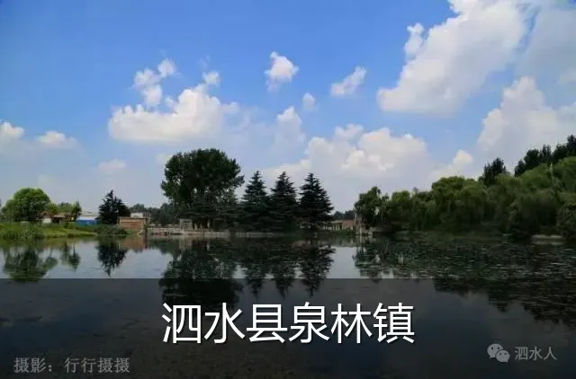 泗水县泉林镇