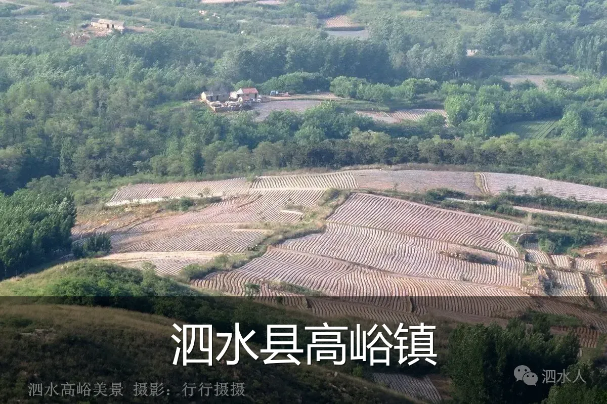 泗水县高峪镇