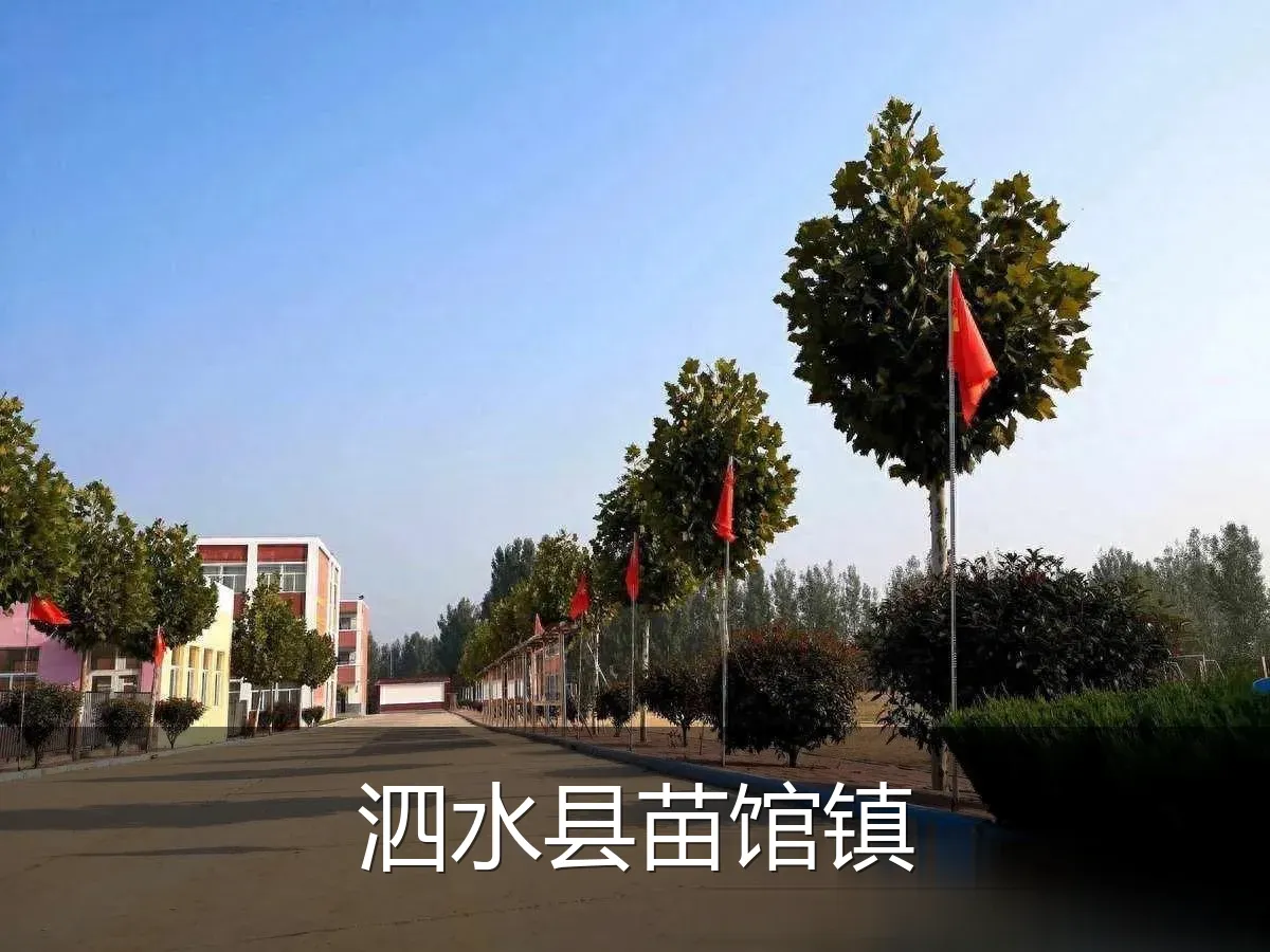 泗水县苗馆镇